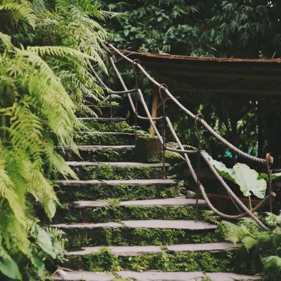 Climbing up on a sustainable mission