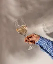 Plumm_Product_Images_PLUMM_Outdoors_-_White_A_1110_x_1340_3__73386.webp