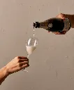 Plumm_Product_Images_PLUMM_Everyday_-_The_Sparkling_Glass_1110_x_1340_3__02027.webp